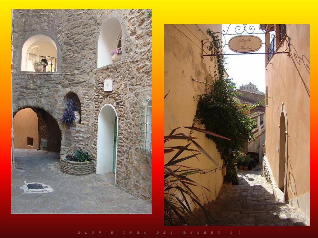 183 D25 BORMES LES MIMOSAS 3_000032.jpg
